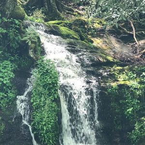 Meet your Posher, Tanika